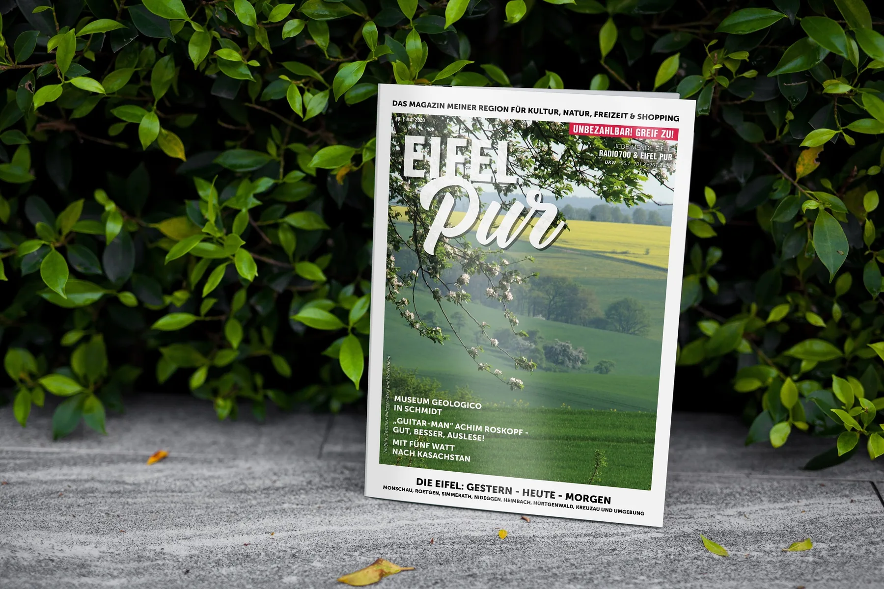 Eifel Pur Ausgabe 7 — Cover mit Sommer-Eifeler-Landschaft und Brombeerranken, Editorial Design von Emrach aus Aachen