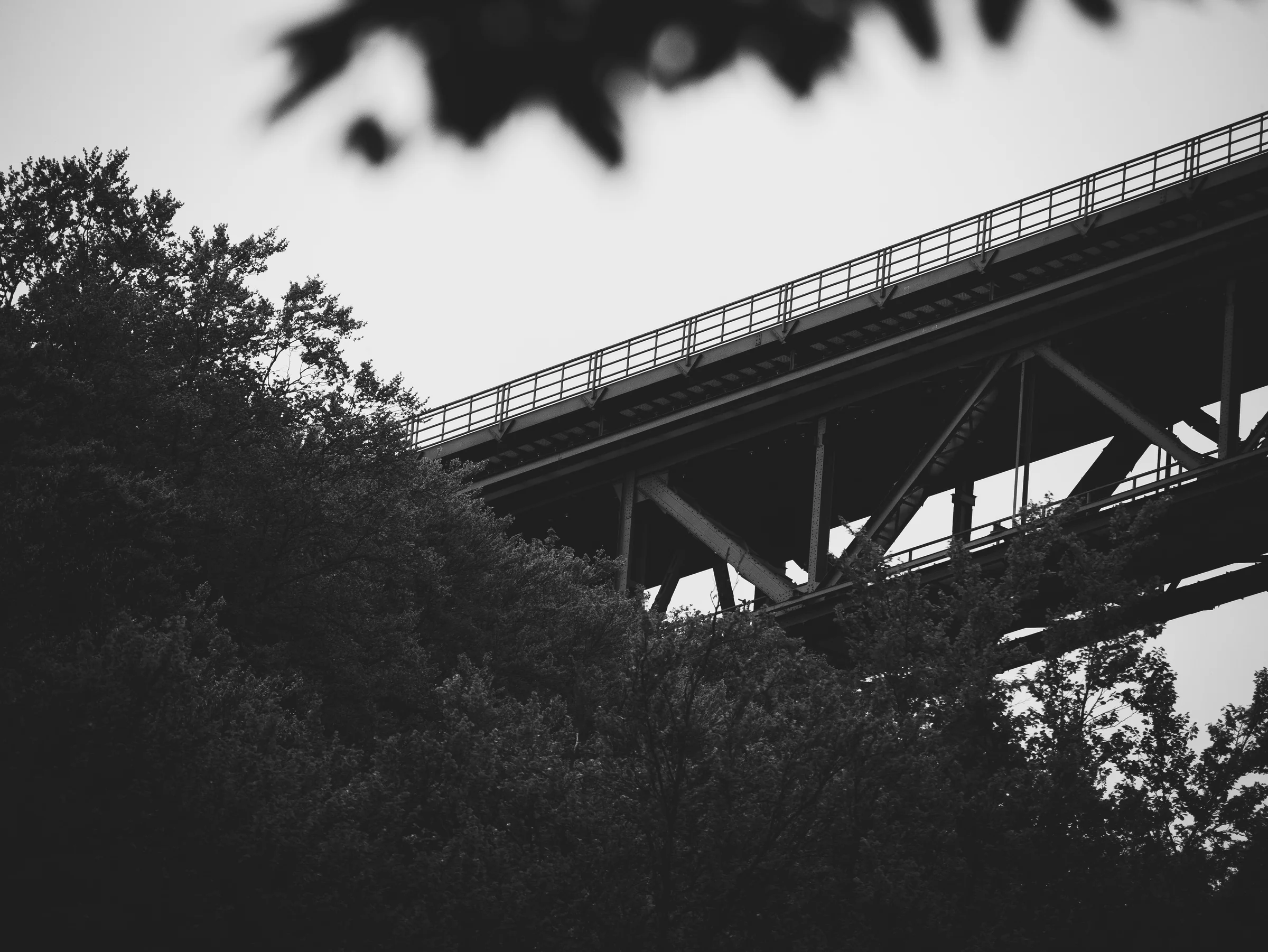 Perspektive aus dem Tal mit Laub, Schwarzweiß-Architekturfotografie von Emrach aus Aachen
