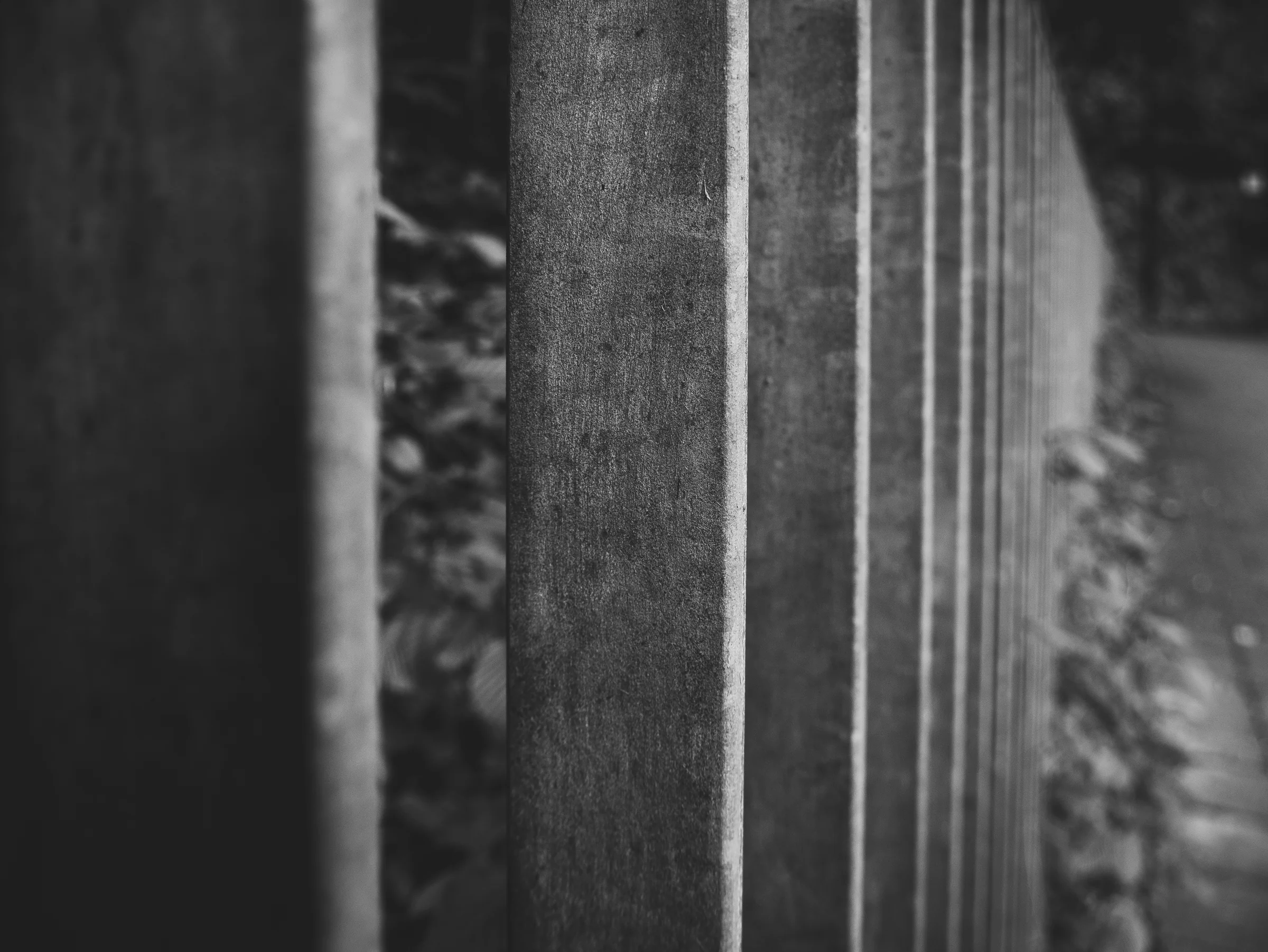 Brückenpark — Baumallee als Säulen, Schwarzweiß-Architekturfotografie von Emrach aus Aachen