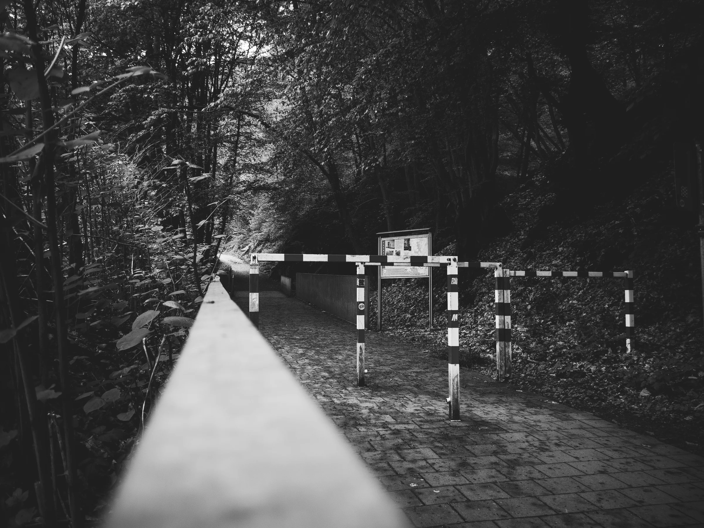 Brückenpark — Holzsteg im Wald, Schwarzweiß-Architekturfotografie von Emrach aus Aachen